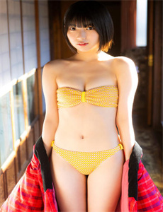 掌门女婿演员